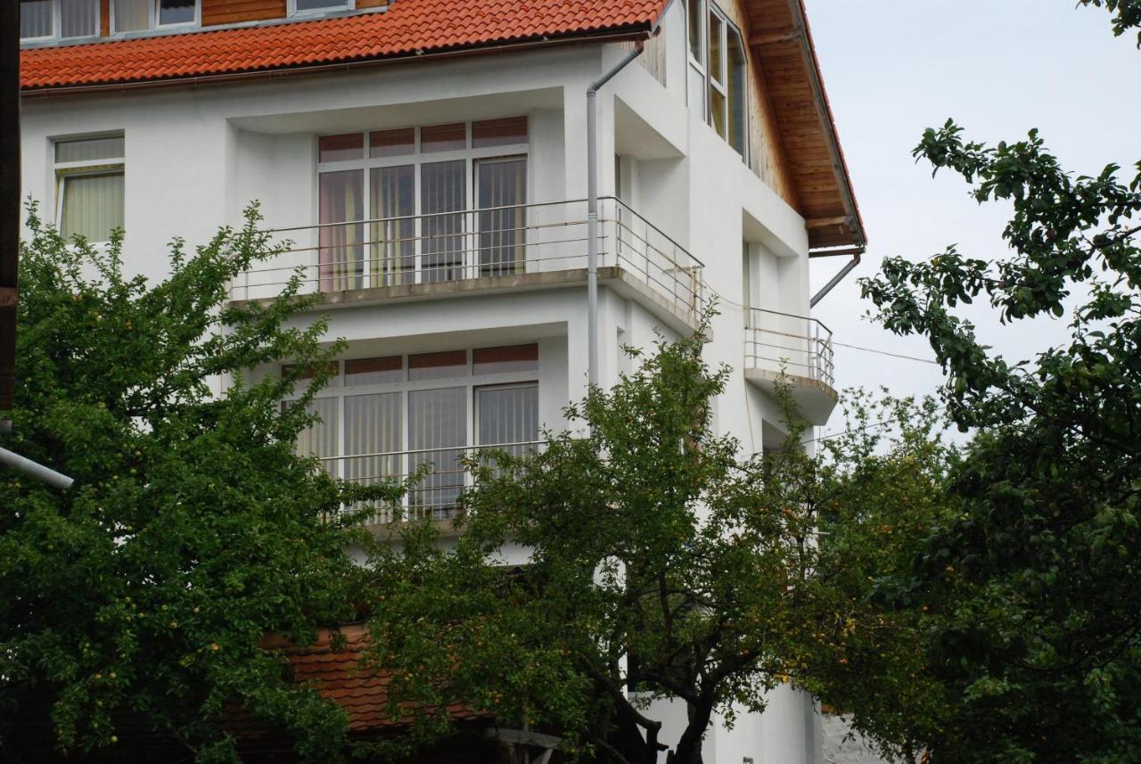 Pension Cote D'Amour Моечу-де-Жос Экстерьер фото