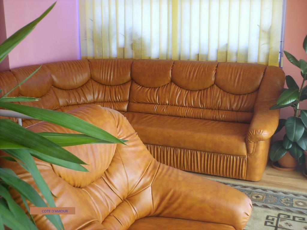 Pension Cote D'Amour Моечу-де-Жос Номер фото